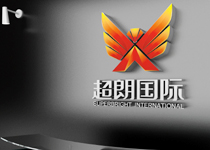 朗国际?sh)子U技集团(香港)有限公司