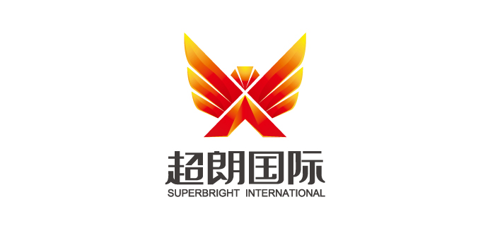 朗国际电子U技集团(香港)有限公司