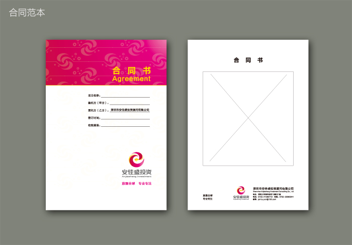 投资N公司vi